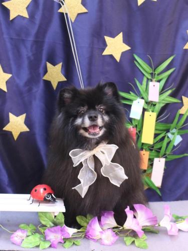 20230701ふわりちゃん